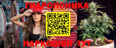 синтетический гашиш Камышлов