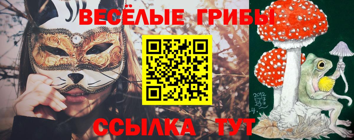 Галлюциногенные грибы Cubensis  Галлюциногенные грибы Magic Shrooms  Вход с VPN  Ивантеевка 