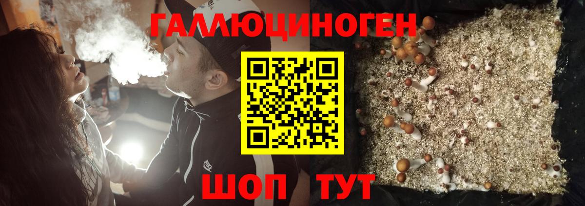 А ПВП Ивантеевка
